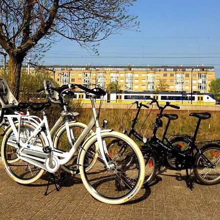 Western Zaan 3* Зандам